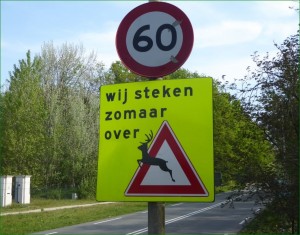 Afbeelding invoegen